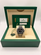 2016 Rolex GMT-Master II 116710LN “Green Arrow”